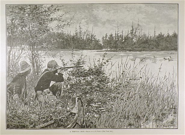 1885 Duck Hunting Antique Print ~ A.B. Frost ~ Harper's Weekly