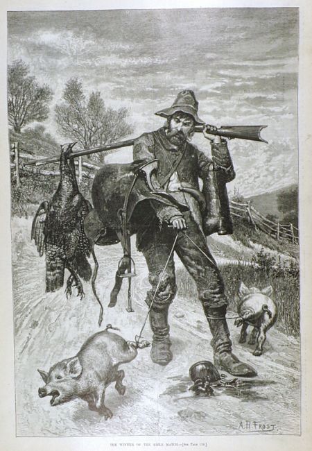 1882 Hunter Catches Pigs, Pheasant Antique Print ~ Harper's Weekly