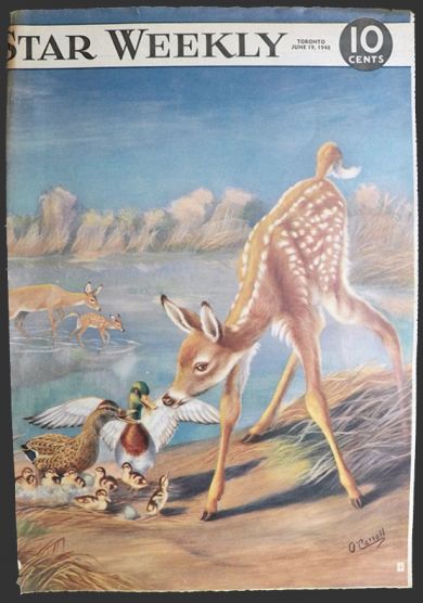 1948 Star Weekly Cover ~ Deer & Ducks