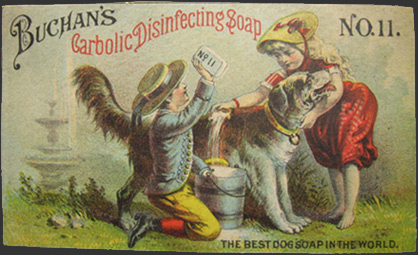 Buchan's Carbolic Soap Trade Card ~ Dog Gets Shampoo