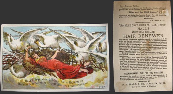 Hall's Hair Renewer Trade Card ~ Elise & The Wild Swans