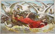 Hall's Hair Renewer Trade Card ~ Elise & The Wild Swans