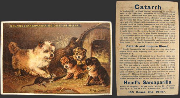 Hood's Sarsaparilla Trade Card ~ Dog Teaches Puppies
