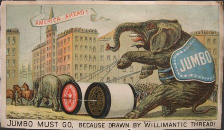Willimantic Thread Trade Card ~ Jumbo Elephant