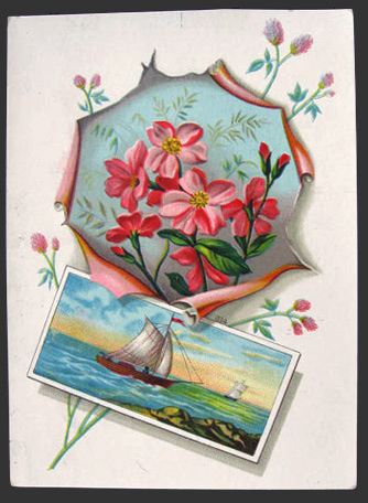 W.G. Park Teas & Coffees, Newburgh, NY Trade Card ~ Lot of 3