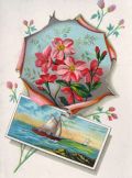 W.G. Park Teas & Coffees, Newburgh, NY Trade Card ~ Lot of 3