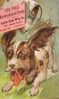 Sea Foam Soap Trade Card ~ Frenzied Dog