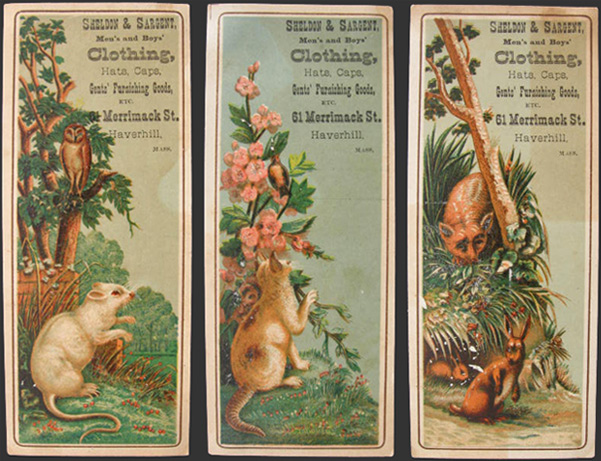 Sheldon & Sargent, Haverhill MA ~ Lot of 3 Trade Cards/Bookmarks ~ Animals