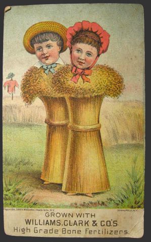 Williams, Clark & Co Fertilizer Trade Card ~ Wheat Body Children