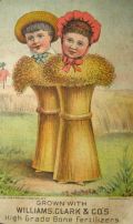 Williams, Clark & Co Fertilizer Trade Card ~ Wheat Body Children