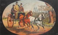 Wistar's Wild Cherry Balsam Cure Trade Card