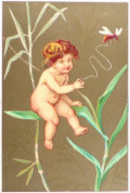Antique Trade Card ~ Tiny Nude Child with Bee ~ Peacedale, RI