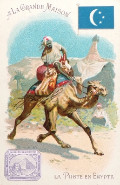 Antique Trade Card ~ La Grande Maison ~ Egyptian Flag & Stamp