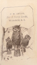 Antique Victorian Trade Card ~ Three Owls ~ Wakefield, RI