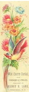 Antique Trade Card ~ Wild Cherry Cordial ~ Henry Lane, Peekskill NY