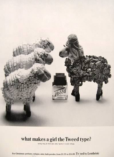 1960's Lentheric Tweed Ad ~ Adorable Lambs